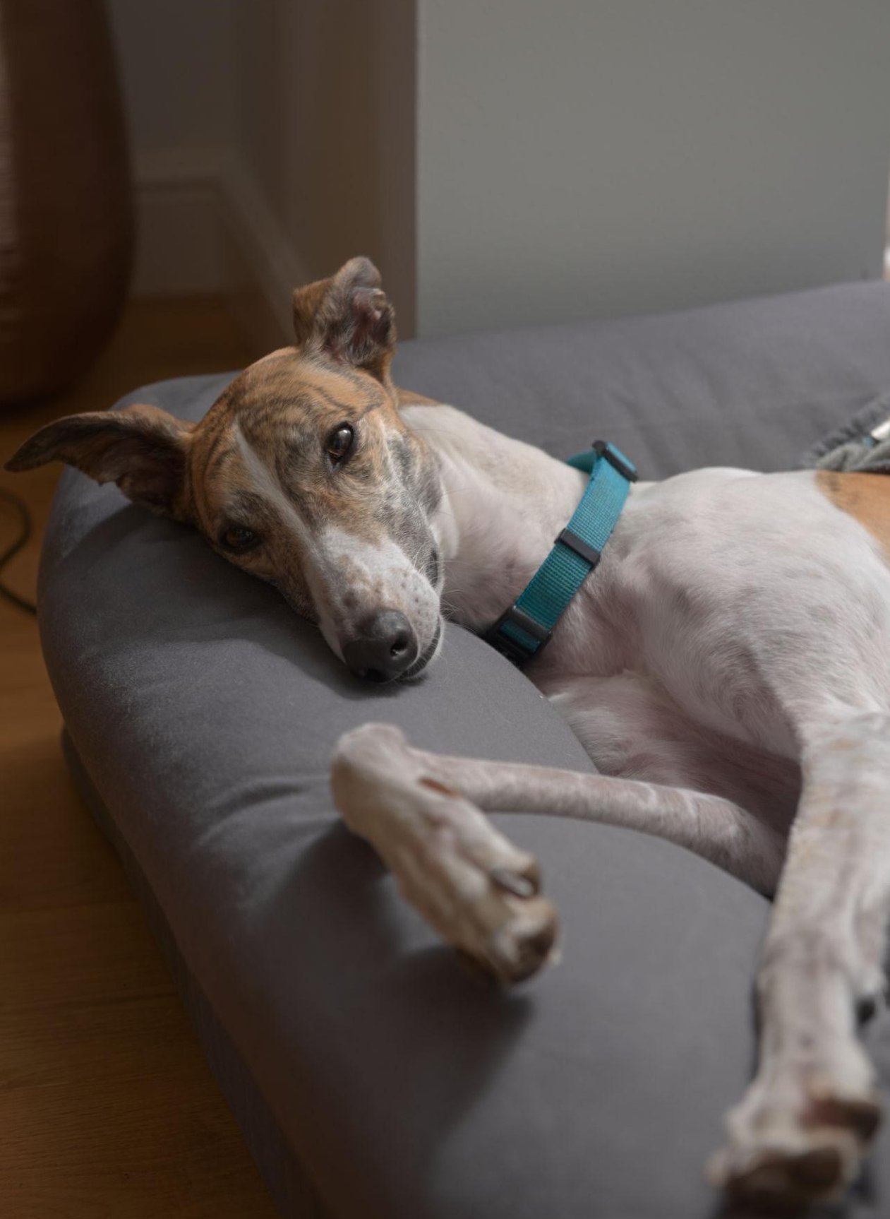 07sLWSaqbc_JTUrSAkjqy-lyZWC2VmNVdpZnd0IZlmCkepcvWKZRnNFES8V4Xuq1hhydWXY-JuoJ-K-8c4i1FTa9JDtb0skOdaAestR-pqbKJdsUsEL_wu0daPVrsKd0A6UnH2yvnCCsWniAr-n7zV2shhTMF6kILEYvWfAYC_GK482UiALzf8qLEVX1LH1h-1