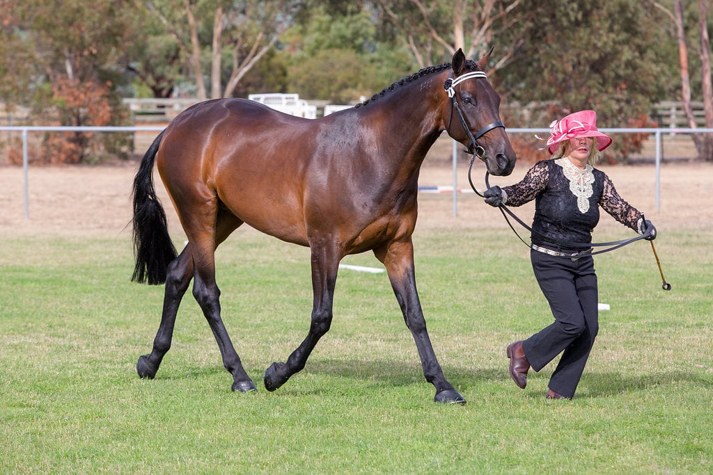 466380339_1089933929802304_201724536305790808_n