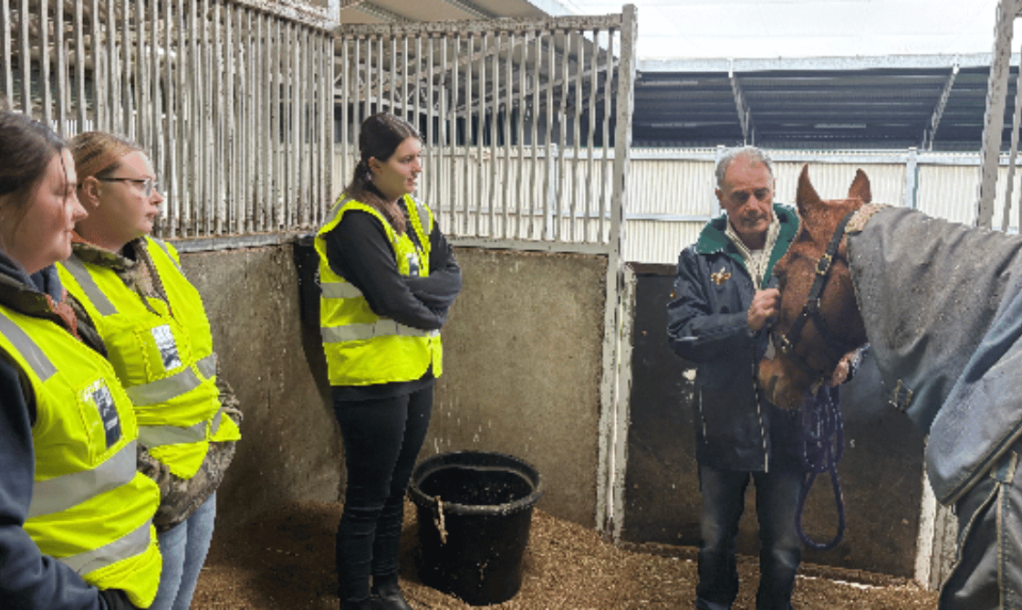 Careers & Training Internship Card