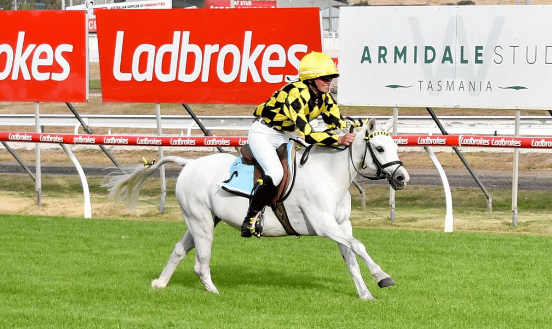 Careers & Training Pony Card