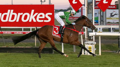 Durazzo cool as ice in the Newmarket