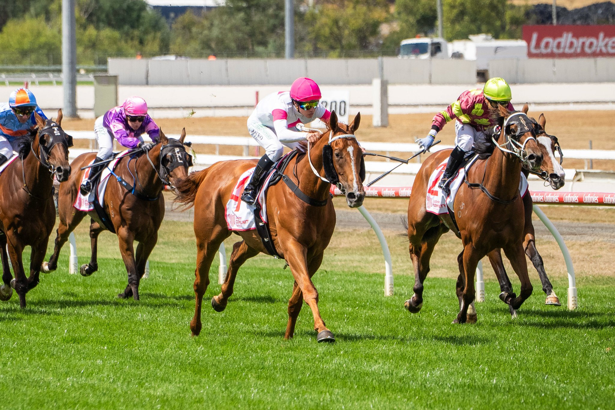 TR_Launceston_Cup_2026_0292