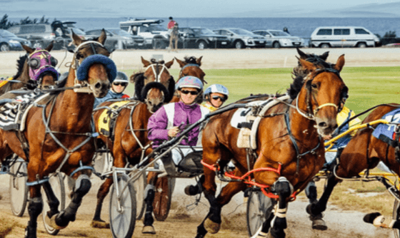 home-carousel-card-image-2