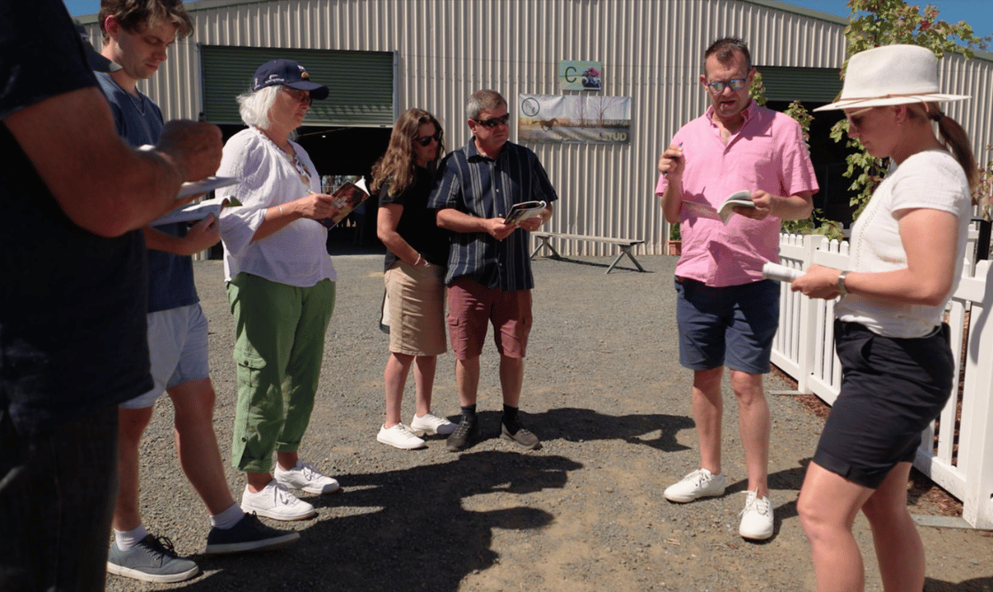 Win A Share in a Racehorse - Sales Day