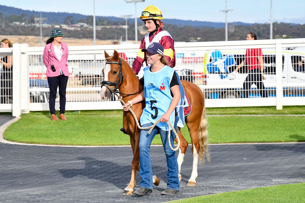 Tasmania Pony Racing Series 2026