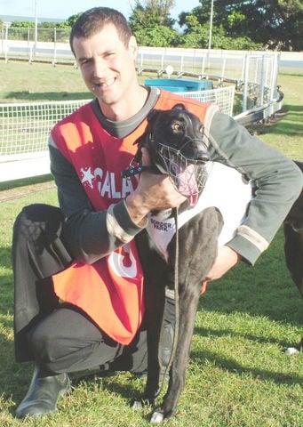 Greyhound_Cape_Bruny-big