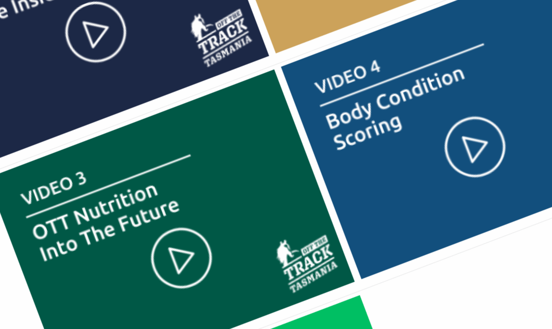 Nutrition Education Hub