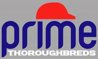 primelogotop