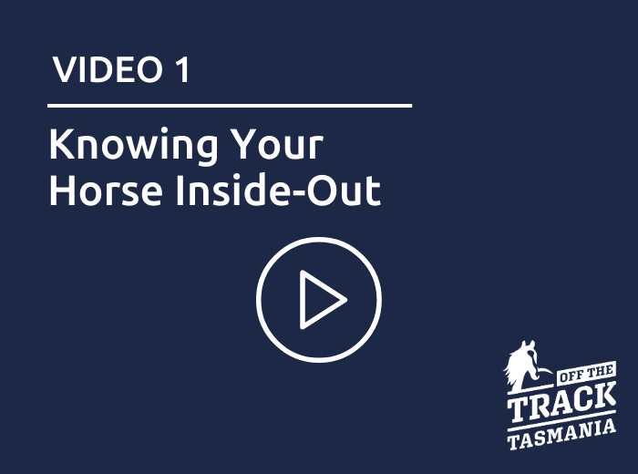 OTT Video Tile 1