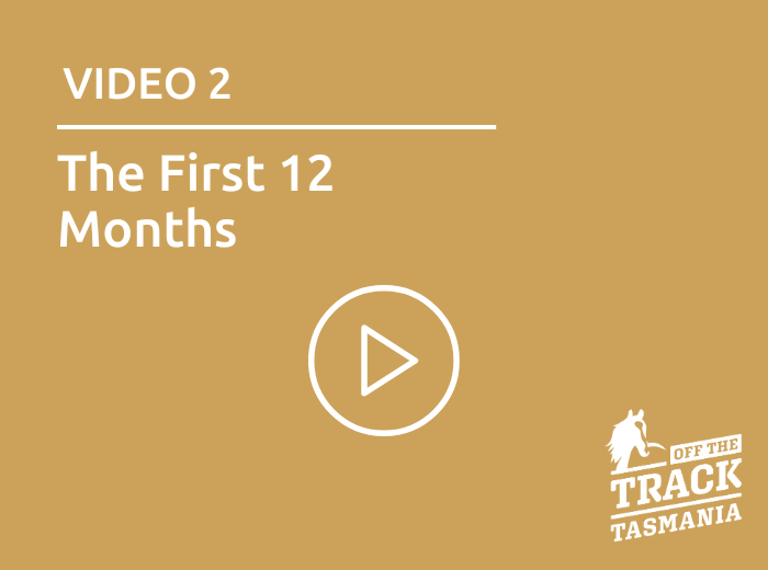 OTT Video Tile 2