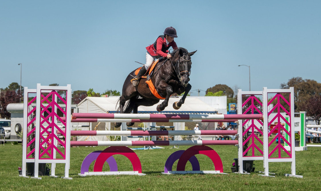OTT-showjumping