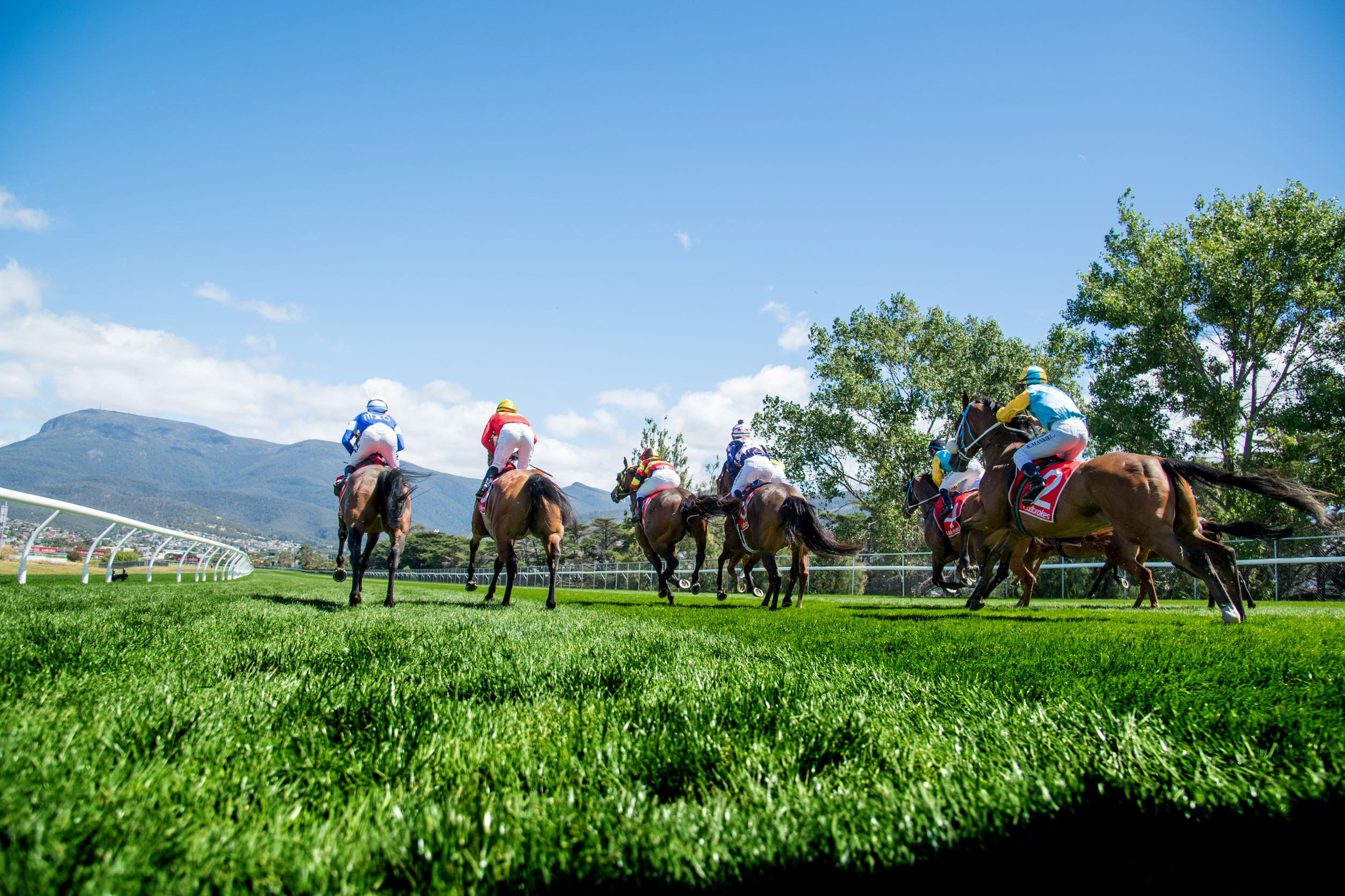 Stewards Reports