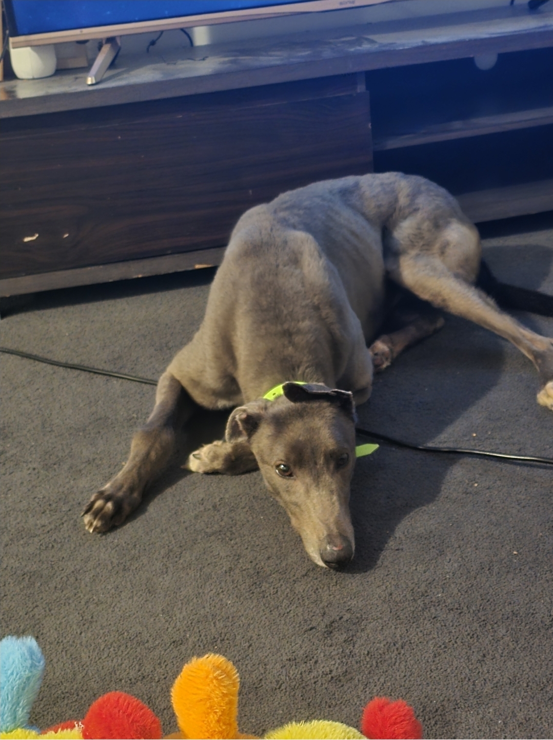 Oden Gallery Image 3