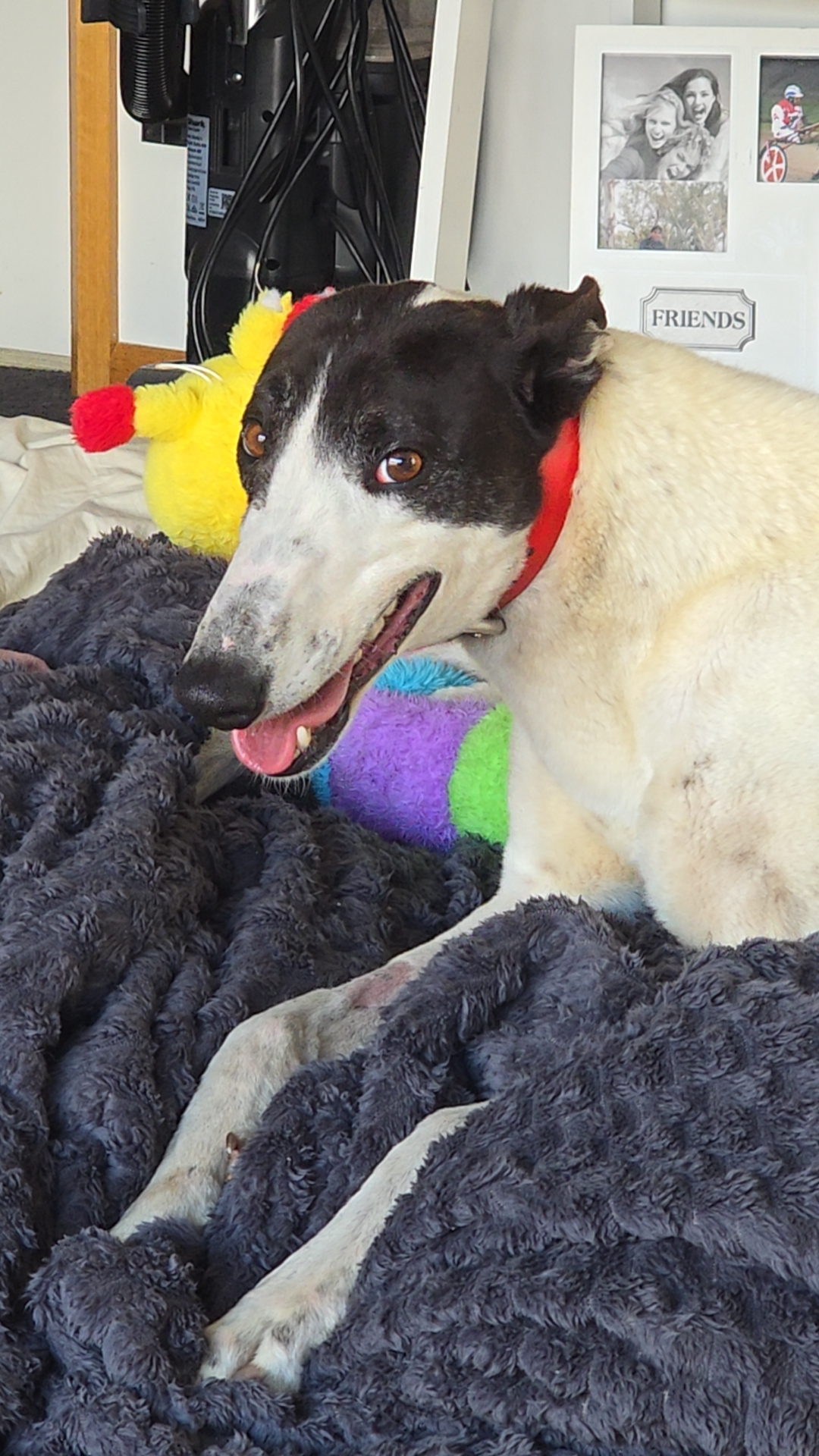 Darren Gallery Image 3