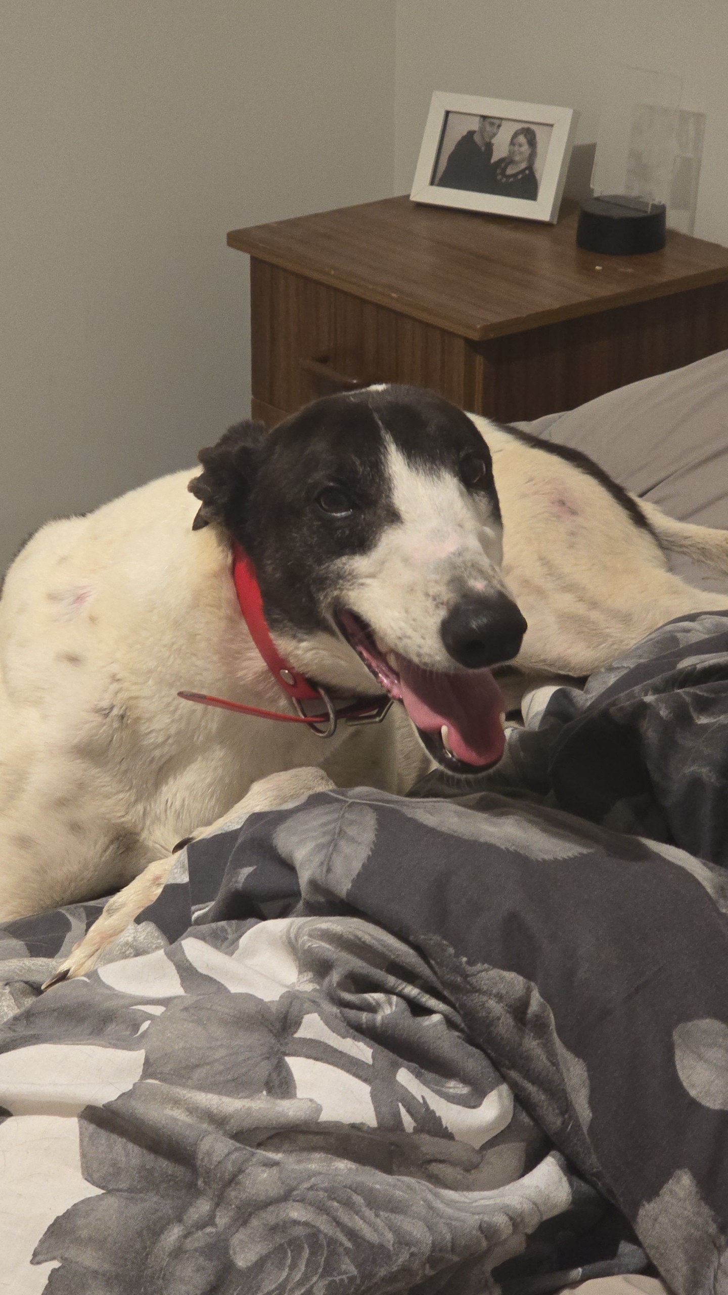 Darren Gallery Image 4