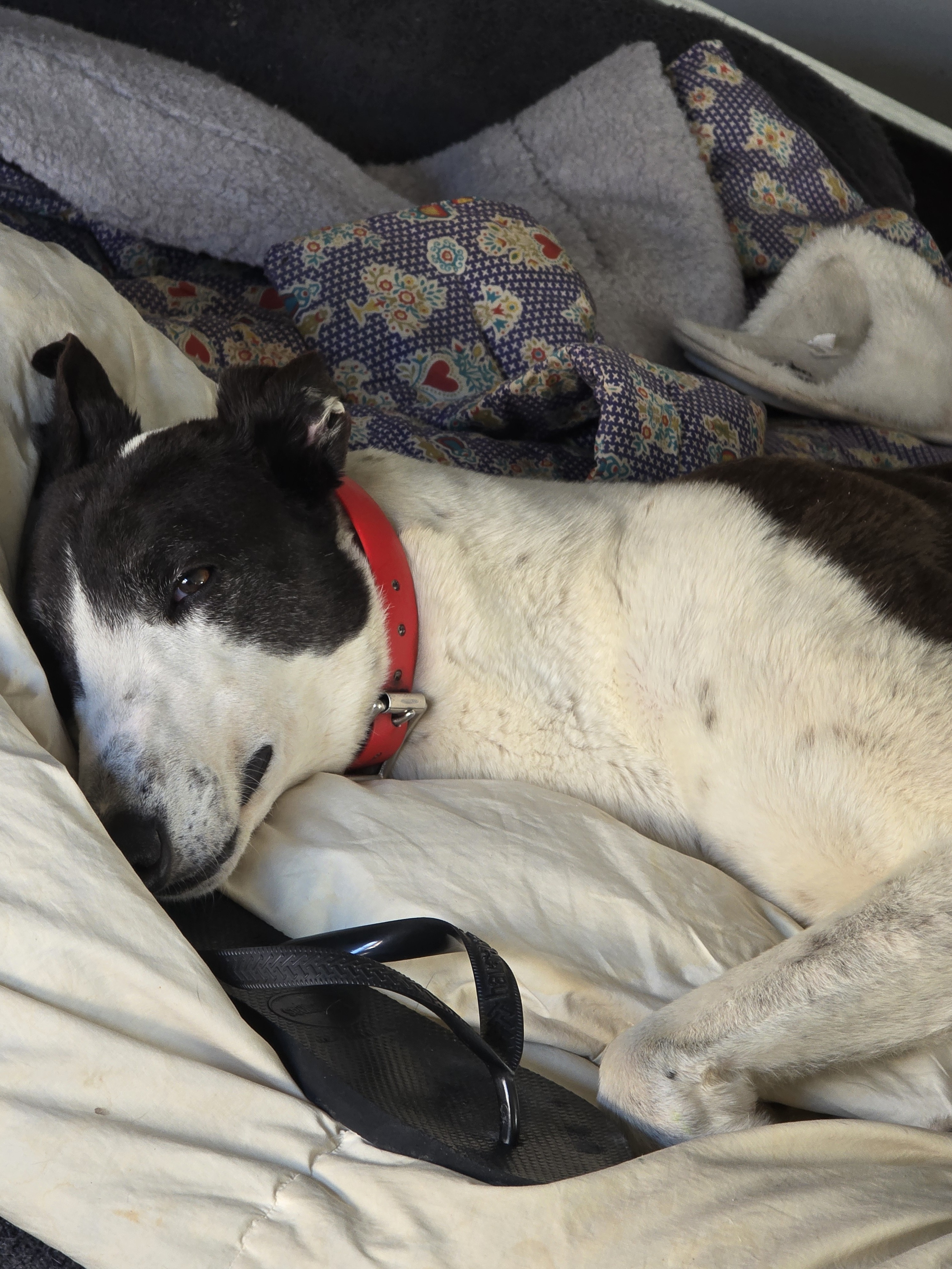 Darren Gallery Image 6