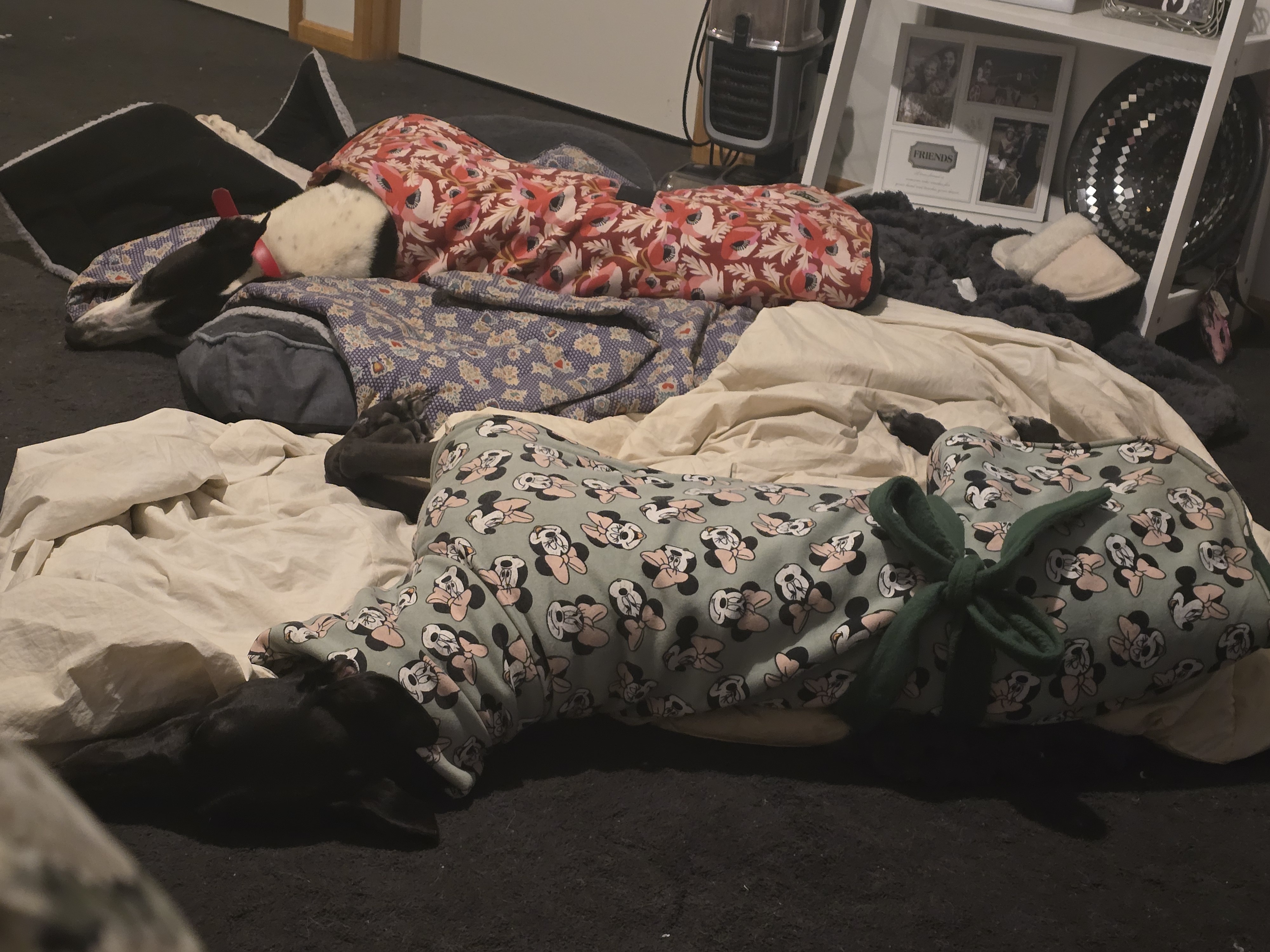 Darren Gallery Image 7