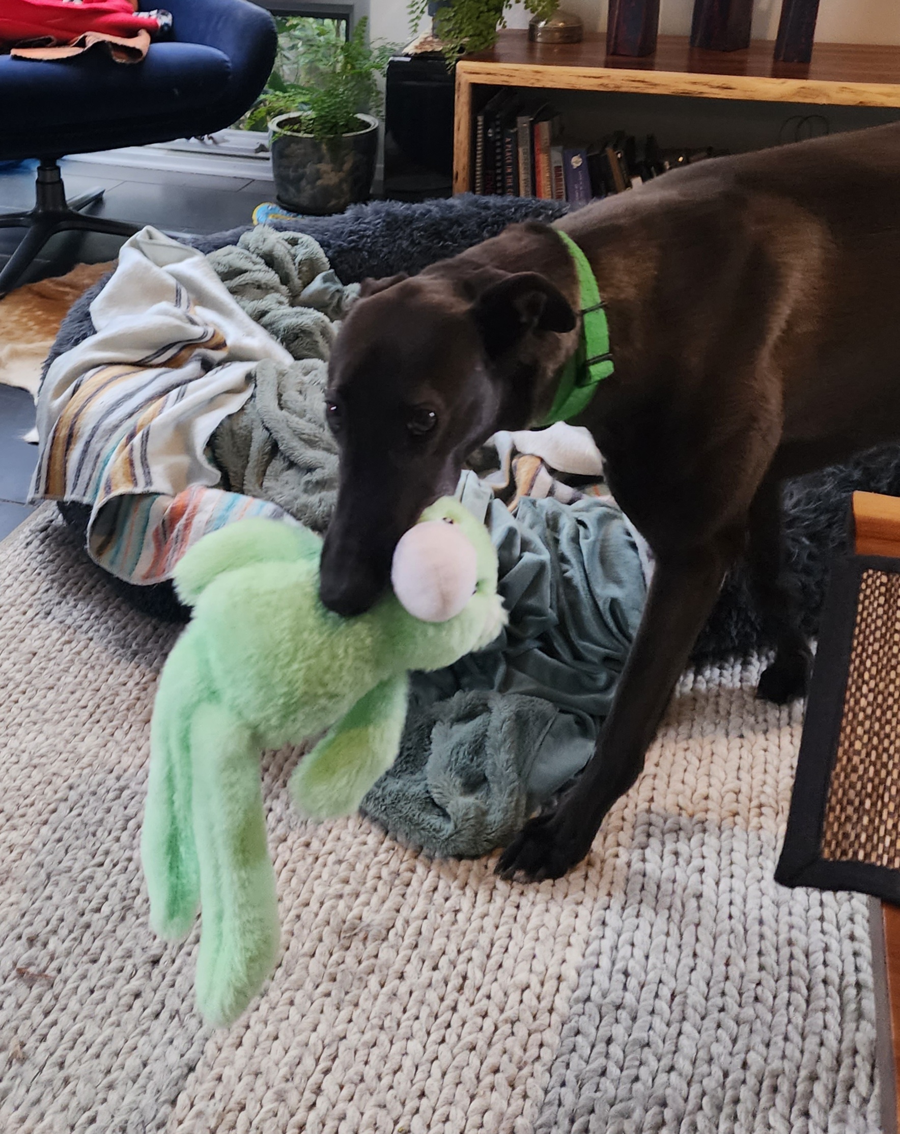 Jill Gallery Image 2