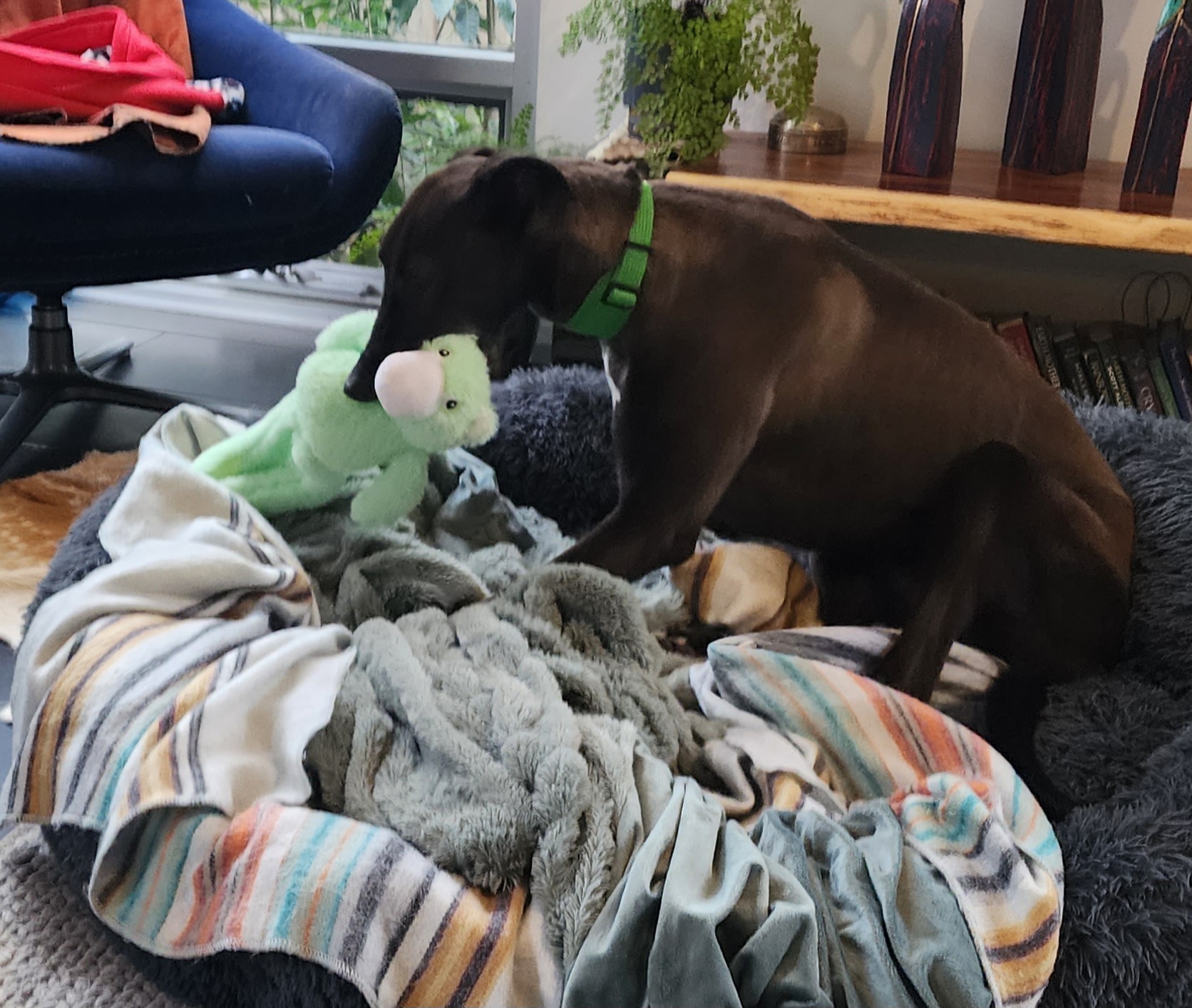 Jill Gallery Image 3