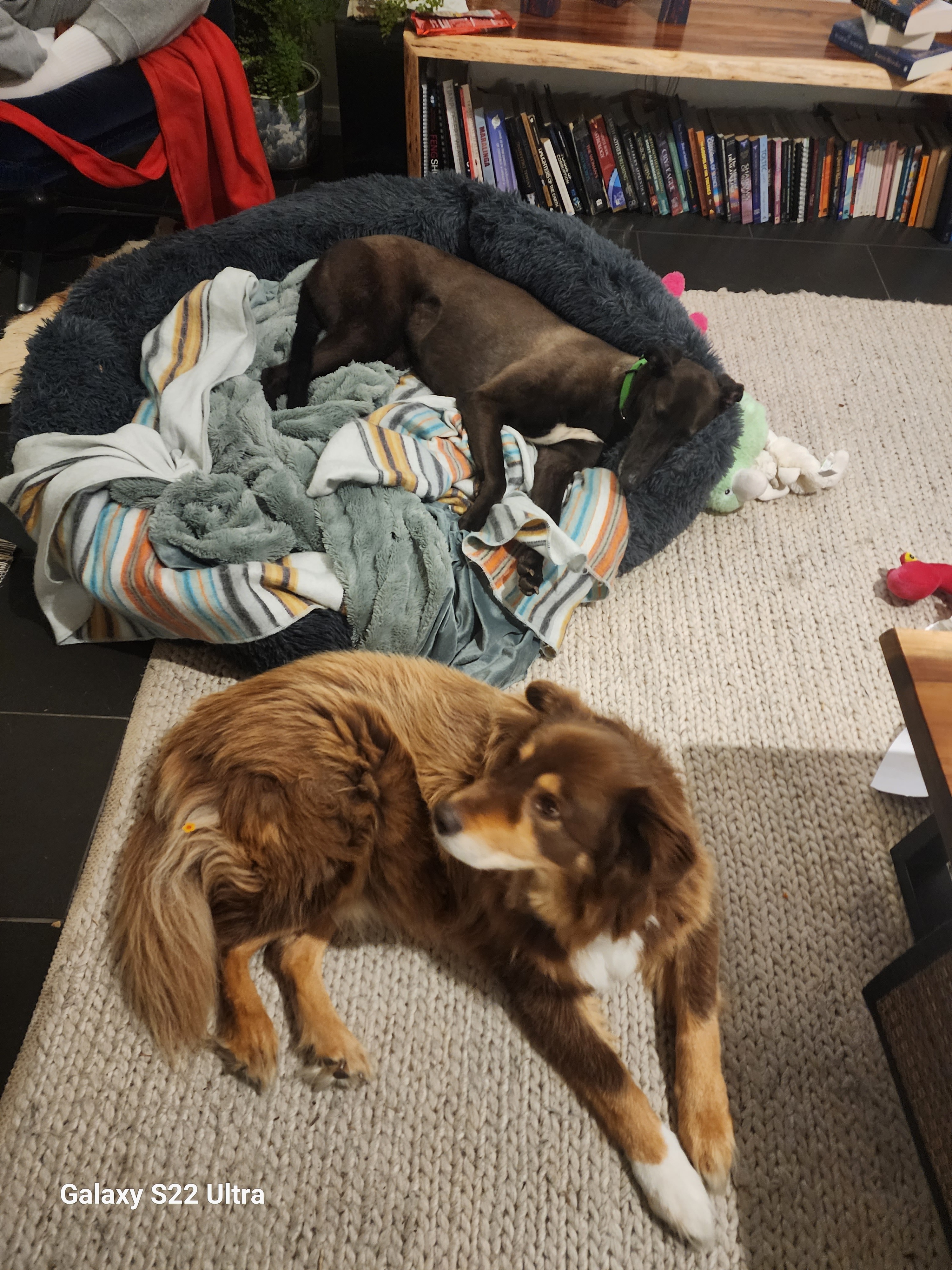 Jill Gallery Image 4