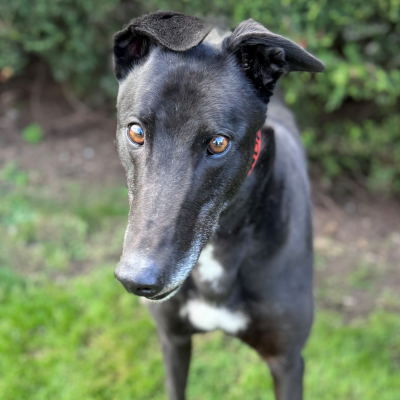 Mandella Gallery Image 2