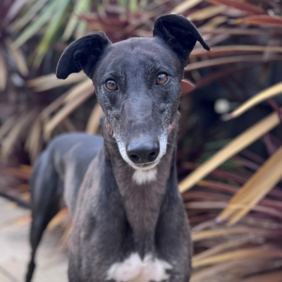 Bailey Gallery Image 3