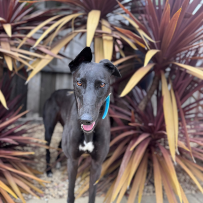 Beauty Gallery Image 2