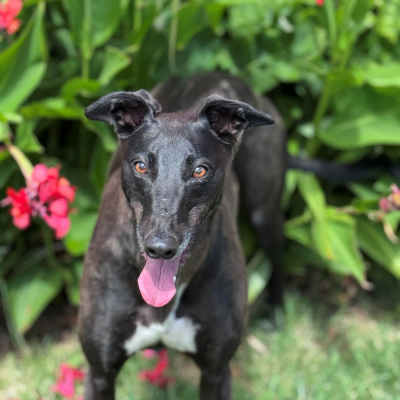 Esme Gallery Image 2