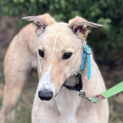 Junior Gallery Image 2