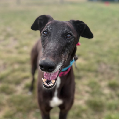 Oakley Gallery Image 2