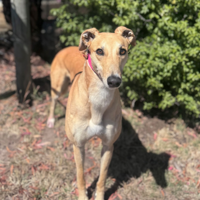 Skye Gallery Image 2