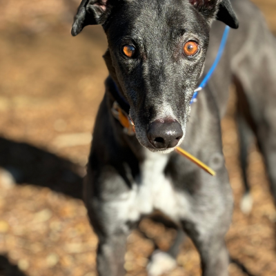 Snip Gallery Image 2