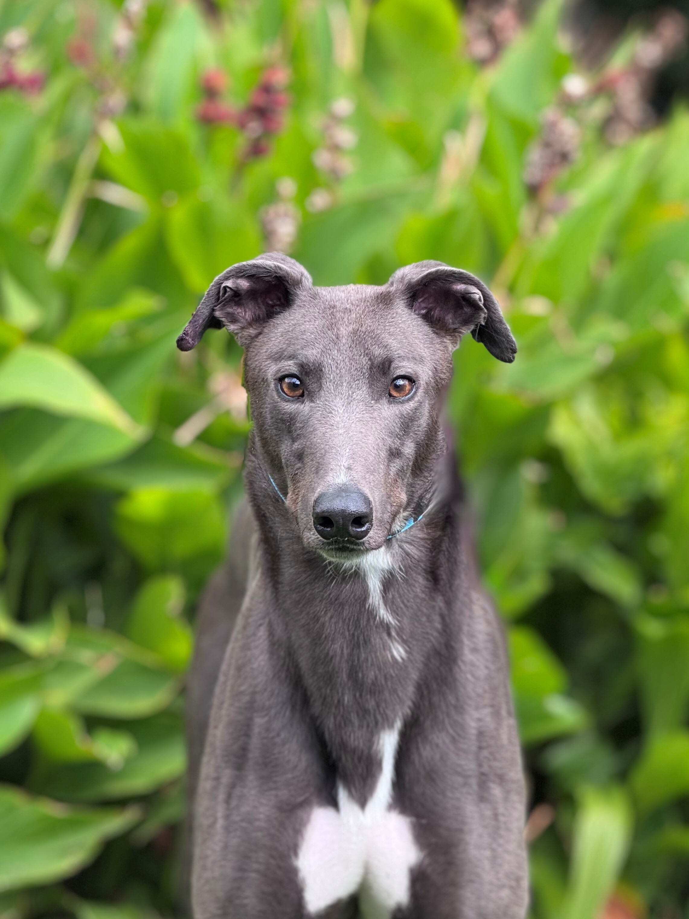 Bunji Gallery Image 3