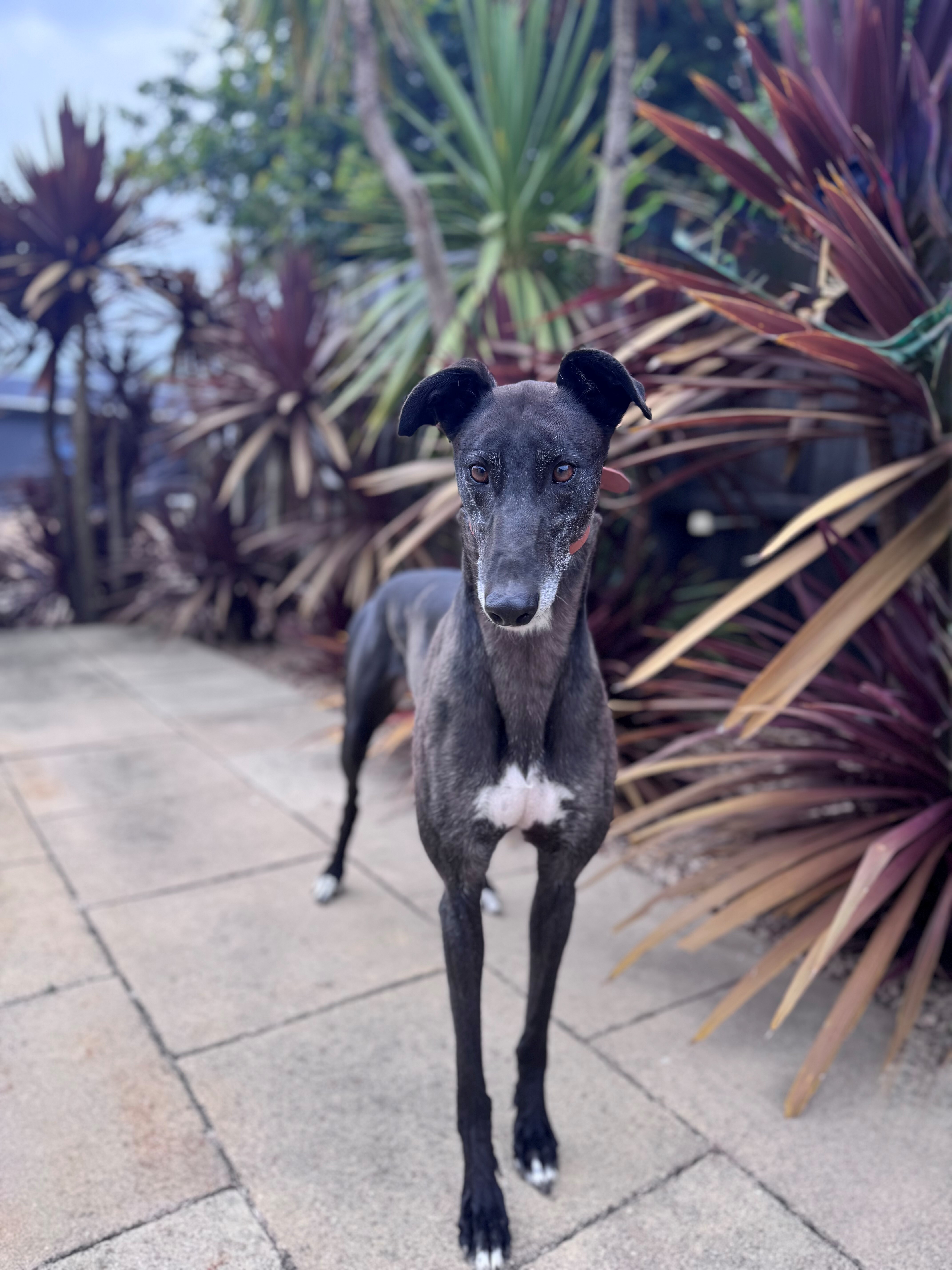 Bailey Gallery Image 2