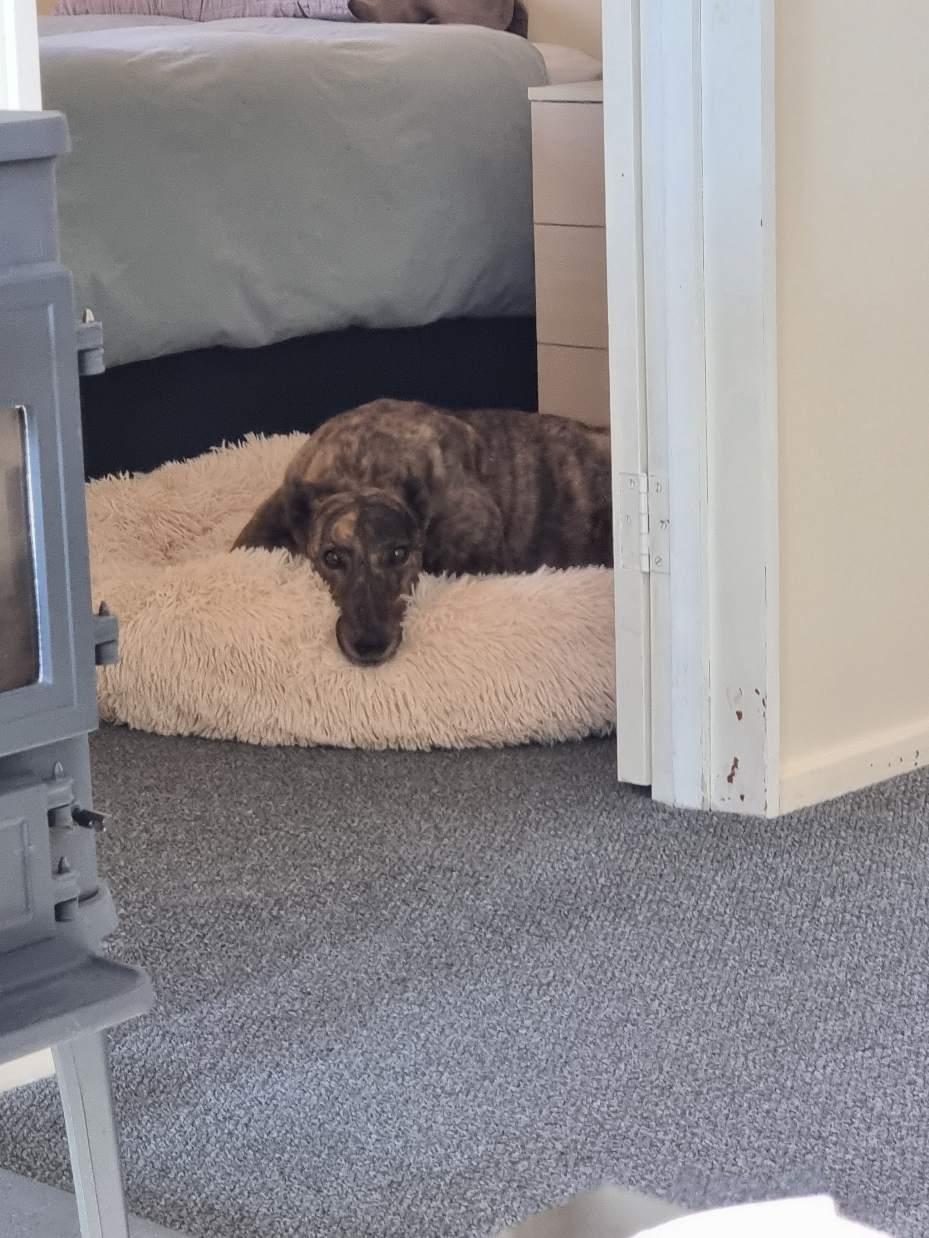 Bonnie Gallery Image 2