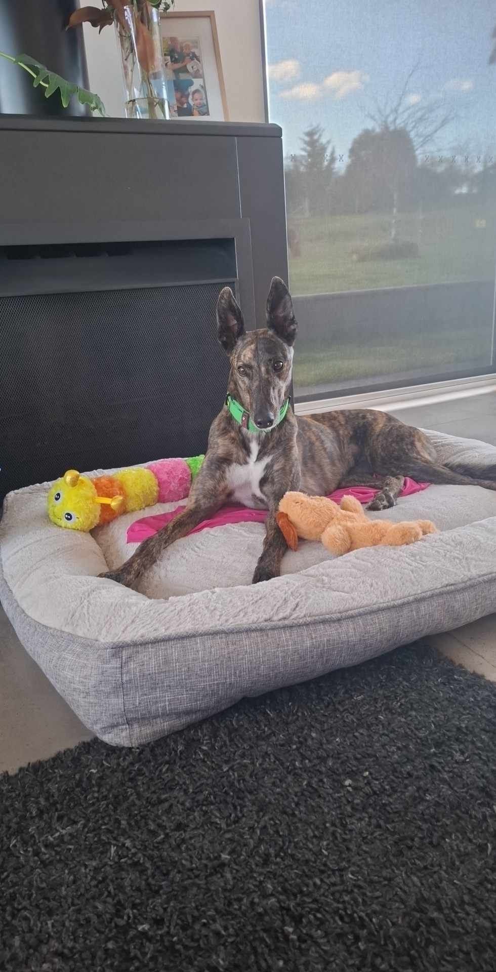 Bonnie Gallery Image 5