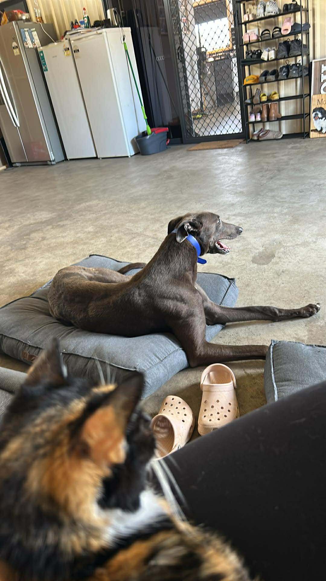 Bunji Gallery Image 6