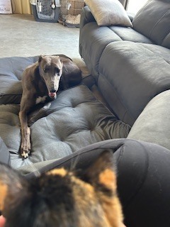 Bunji Gallery Image 4