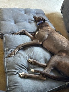 Bunji Gallery Image 5