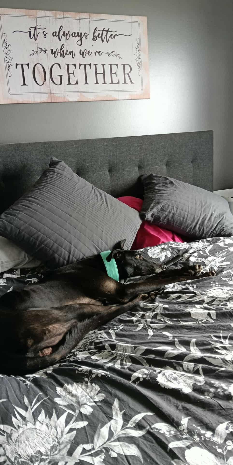 Danger Gallery Image 3