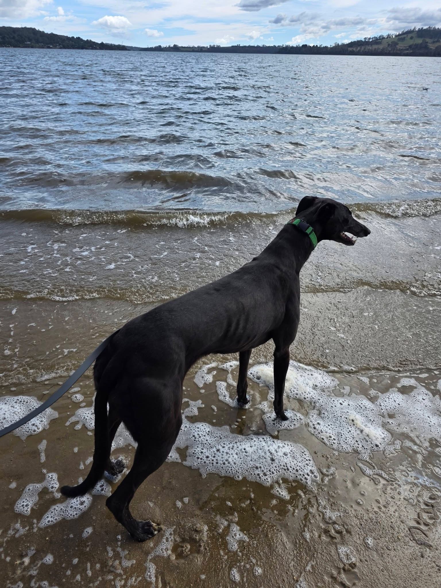 Esme Gallery Image 3