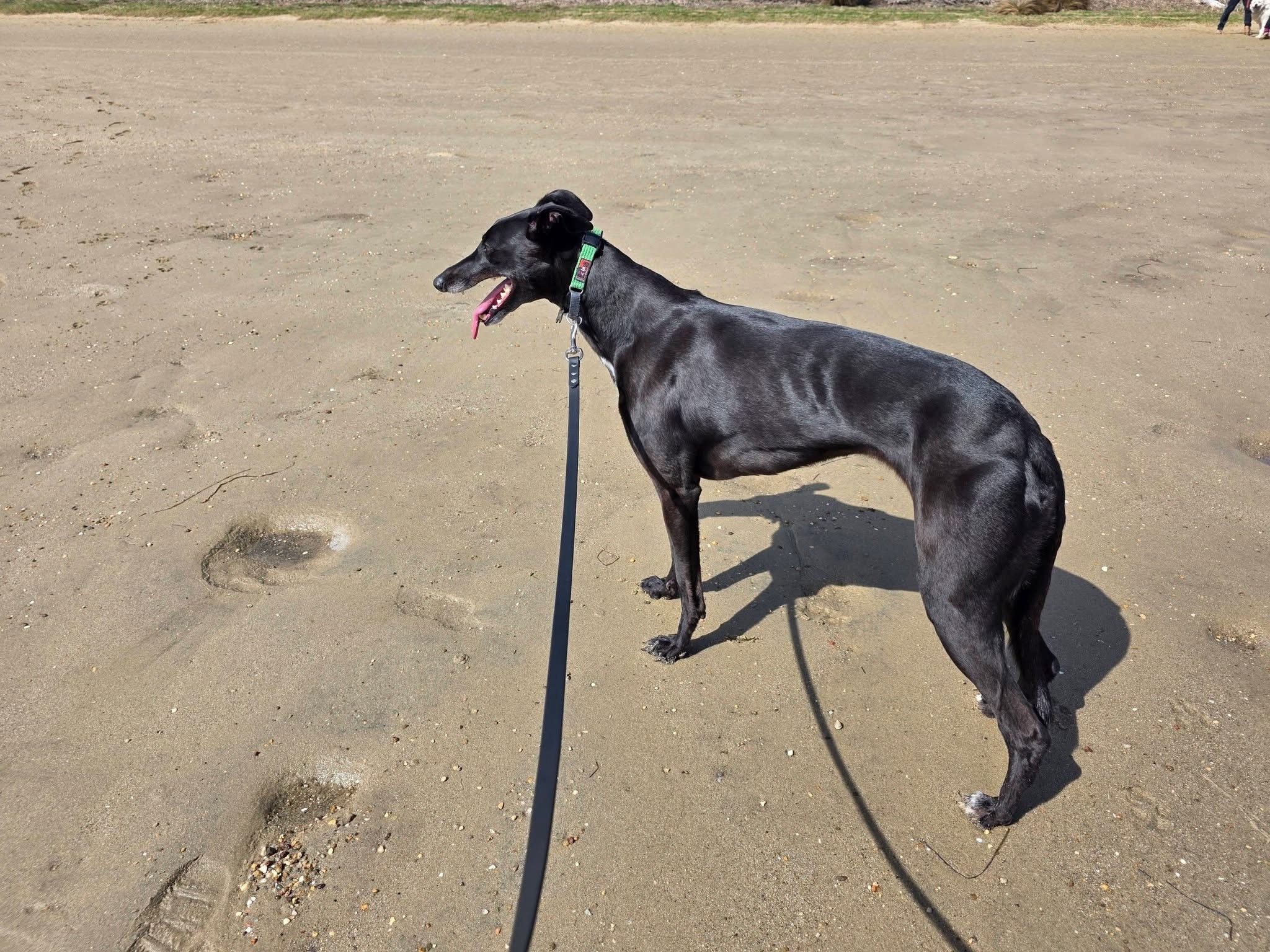 Esme Gallery Image 4