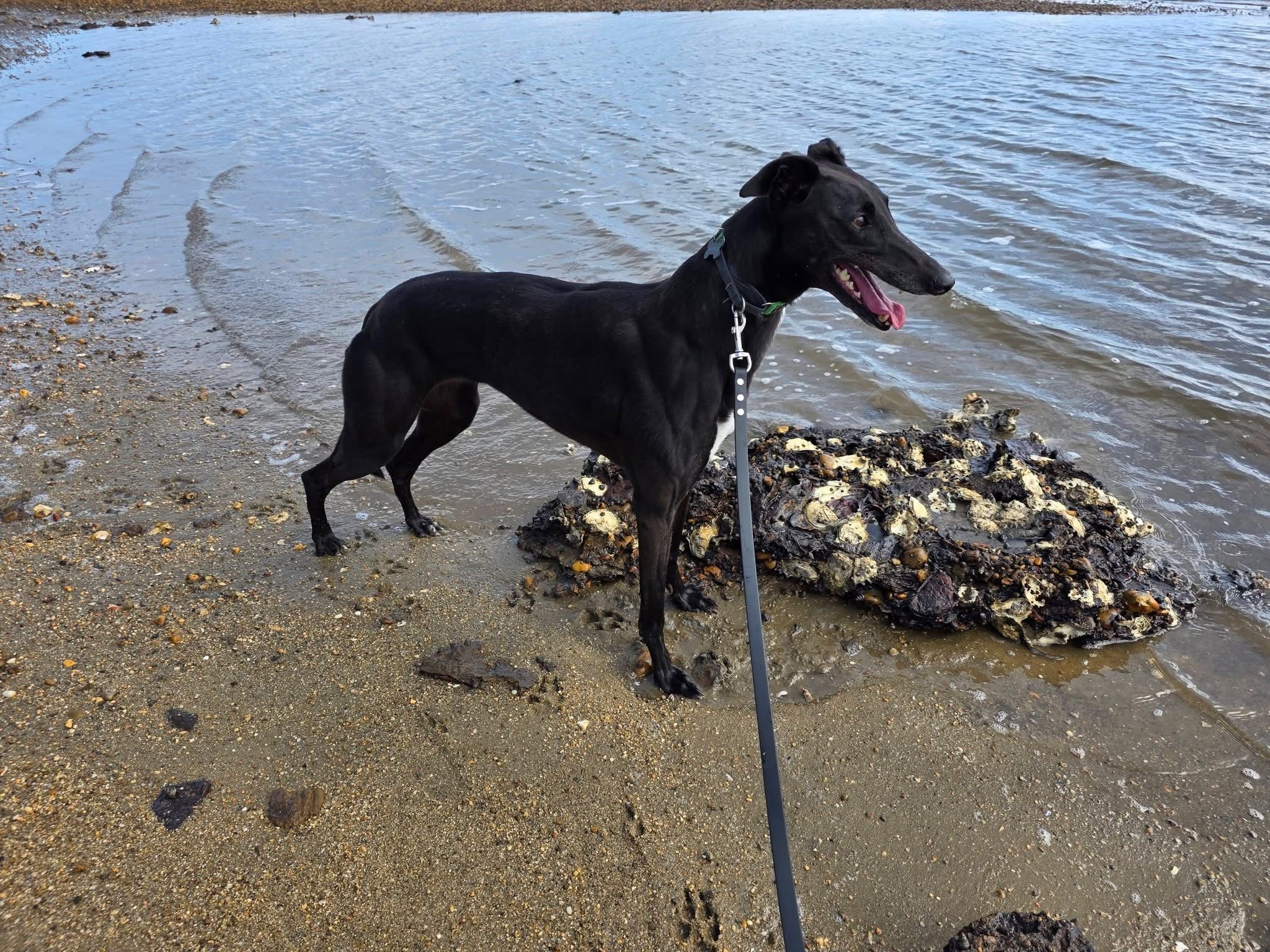 Esme Gallery Image 5