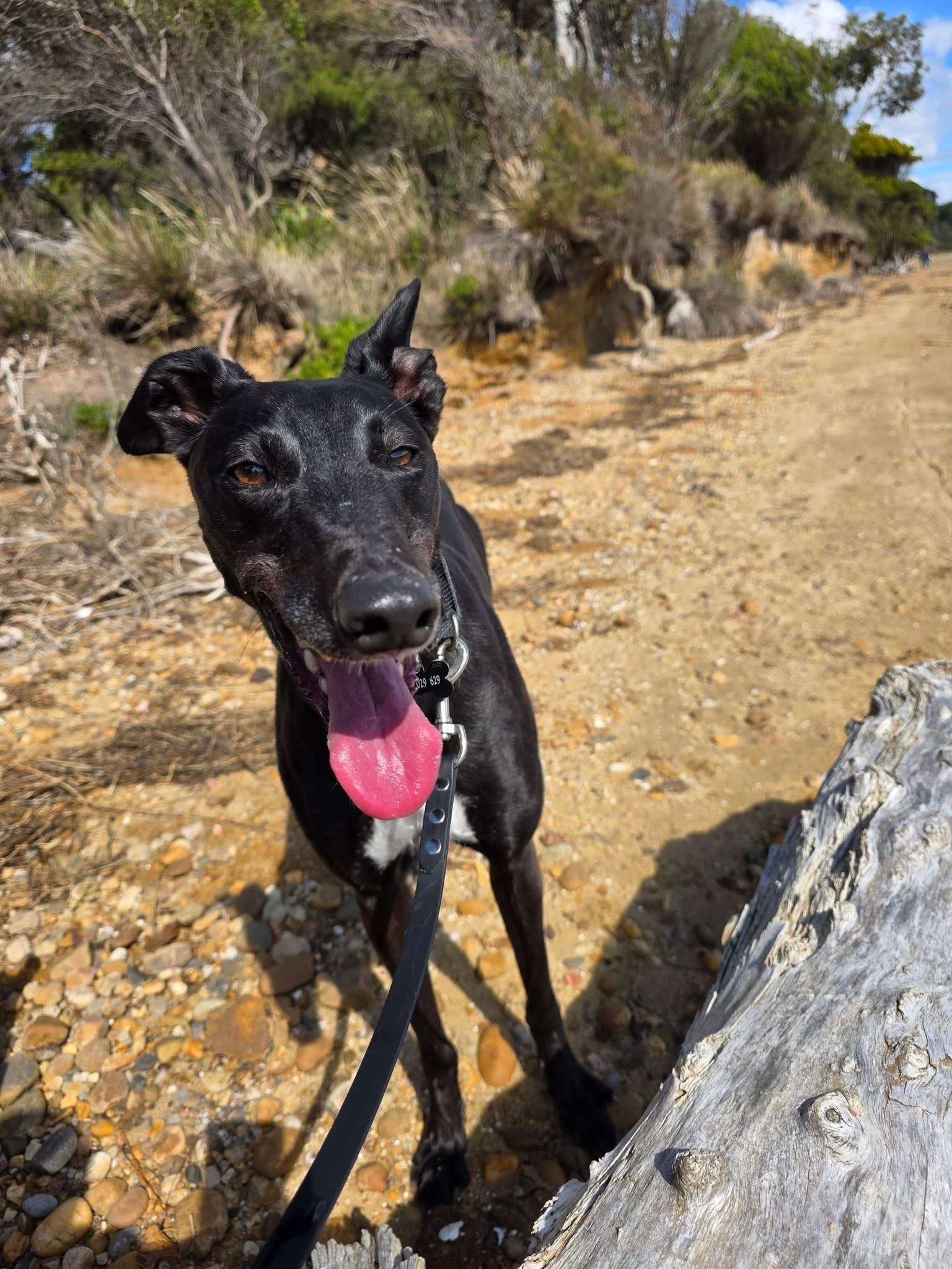 Esme Gallery Image 6