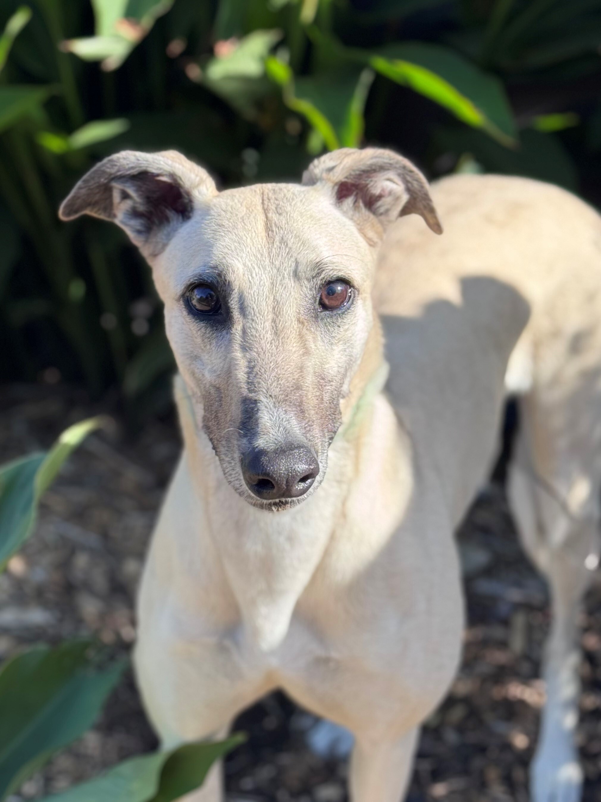 Fran Gallery Image 2