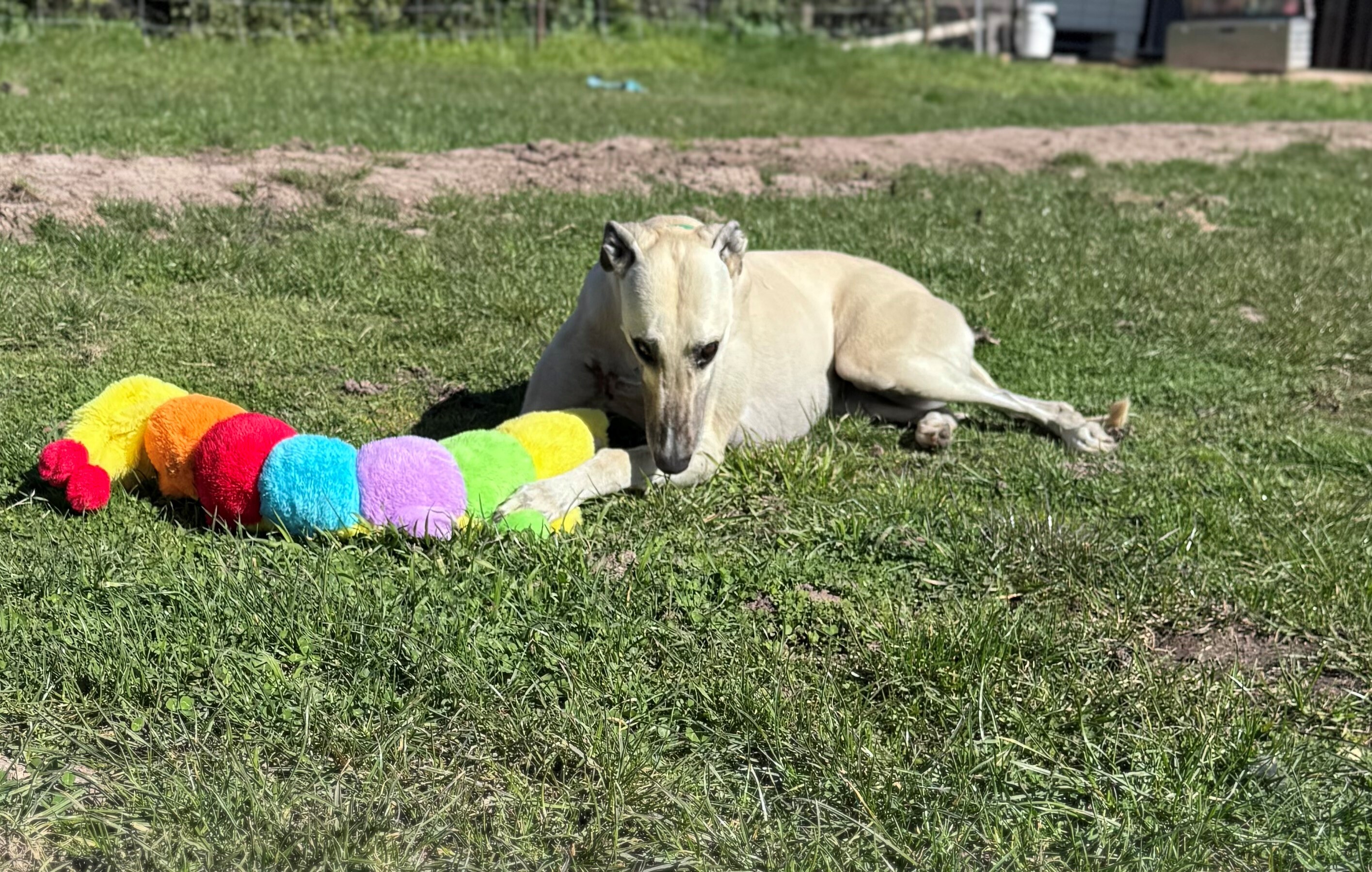 Fran Gallery Image 3