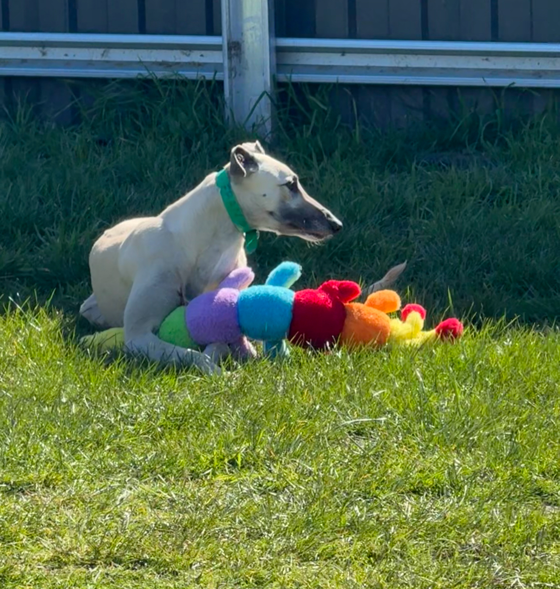 Fran Gallery Image 4