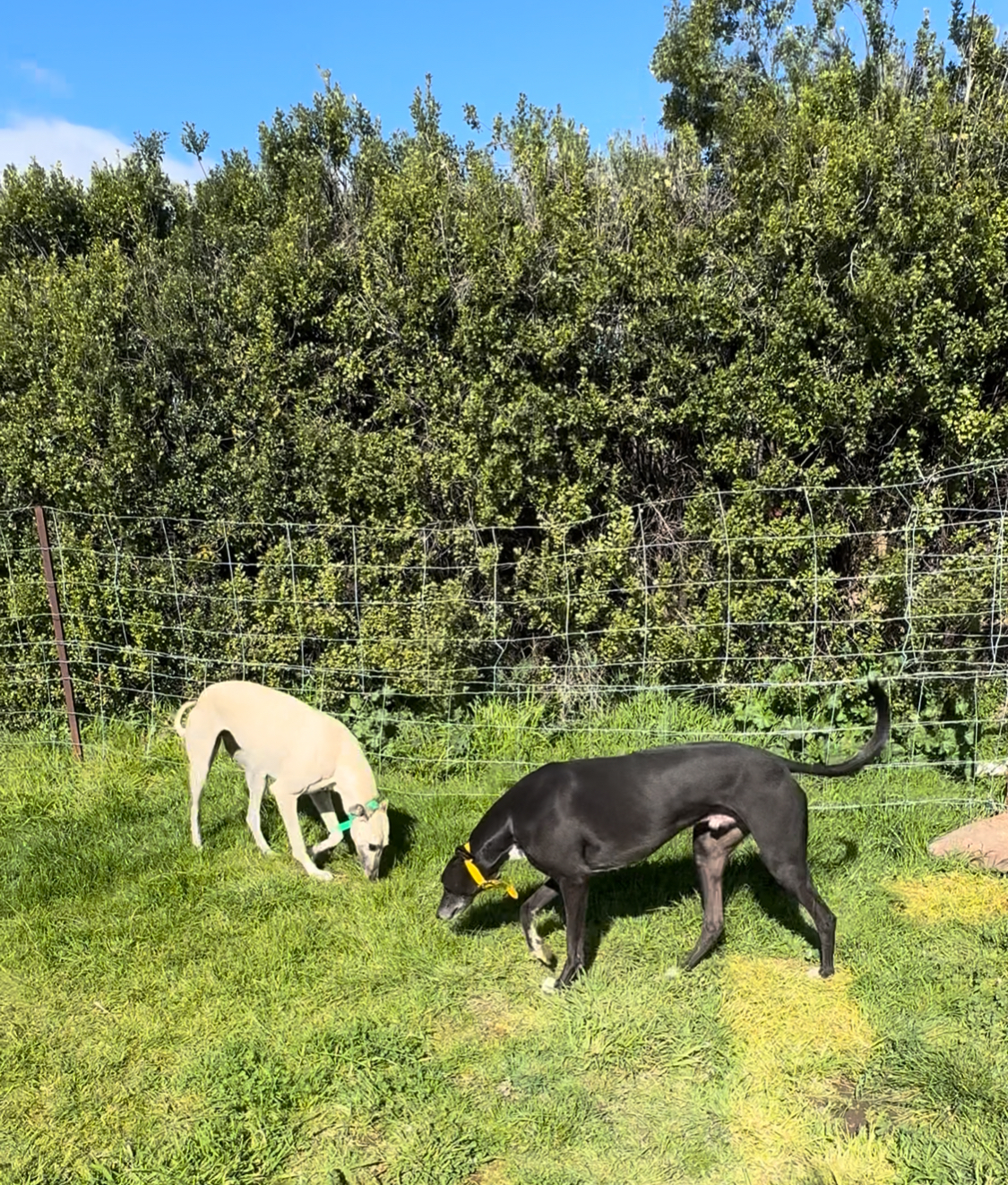 Fran Gallery Image 6