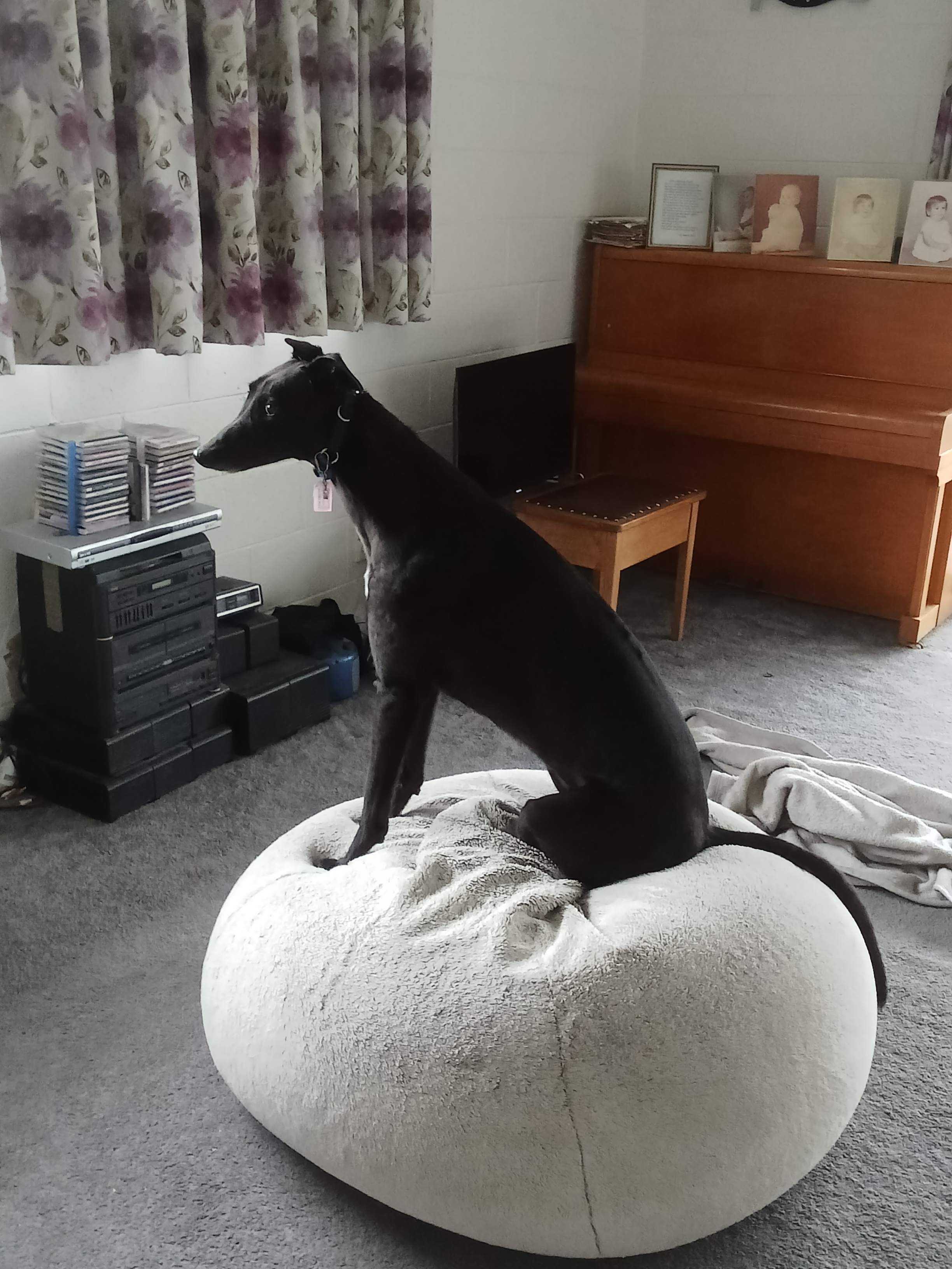 Bindi Gallery Image 8