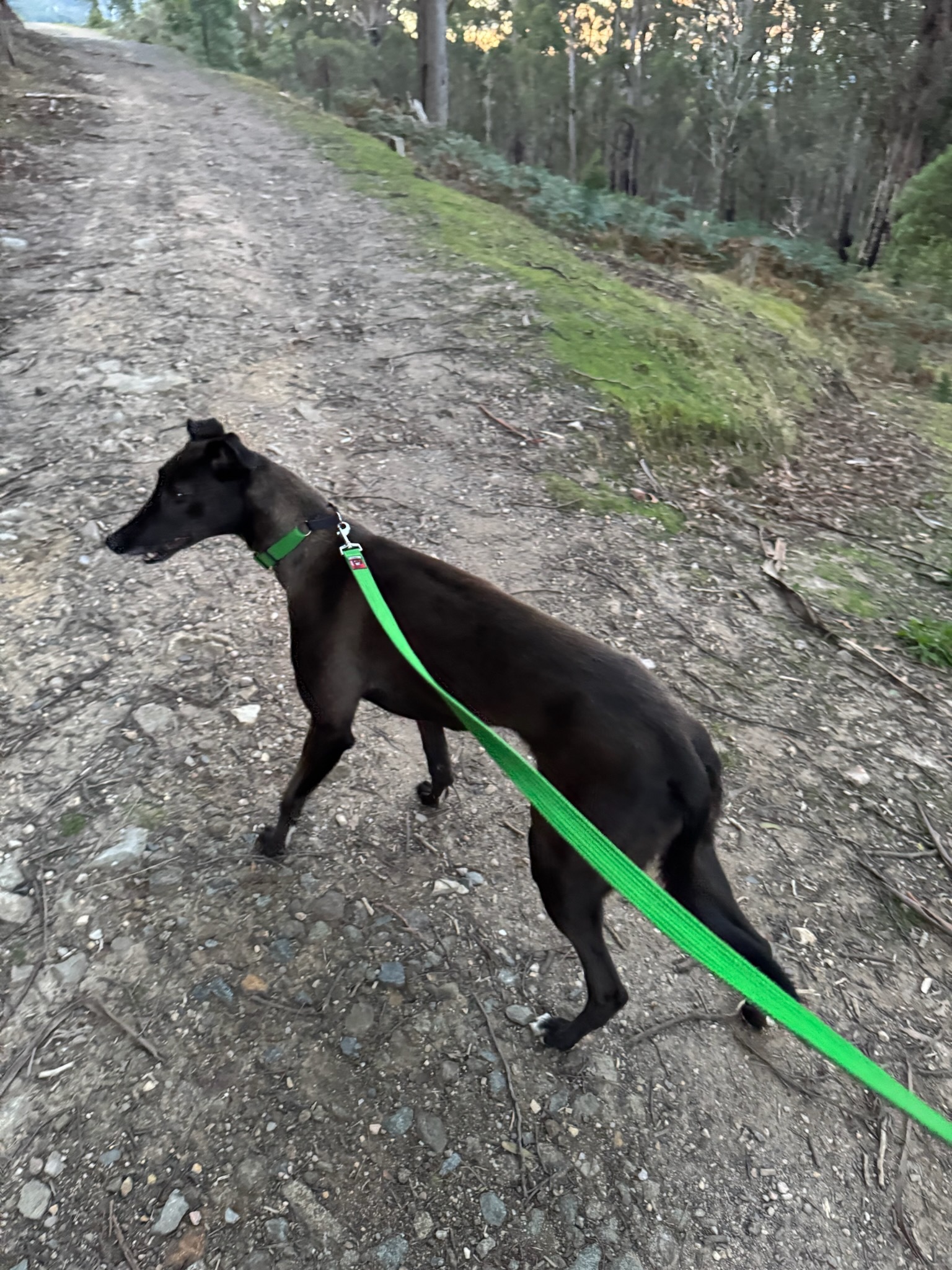 Jill Gallery Image 5